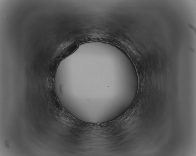 X0000091691207200709131600