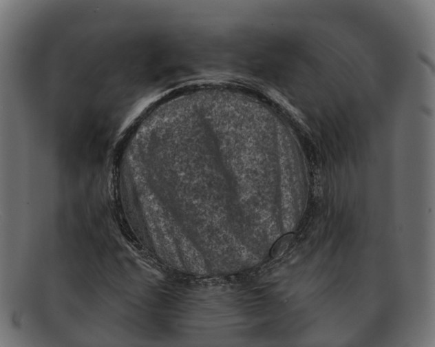 X0000091691208200709131600