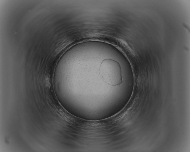 X0000091691209200709131600