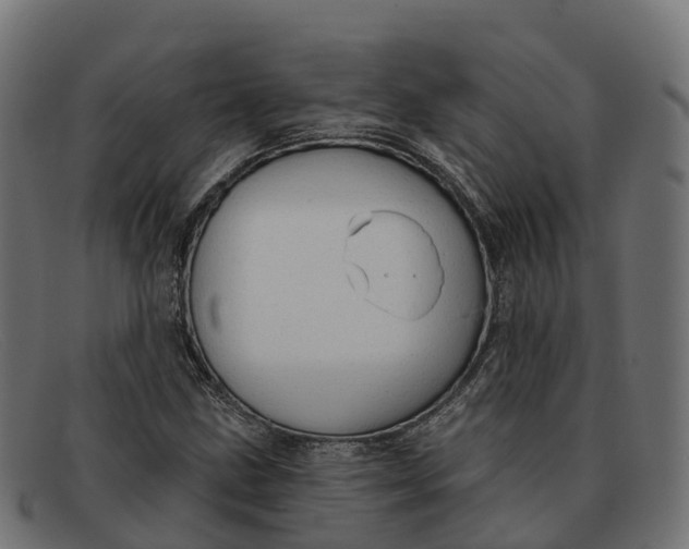 X0000091691211200709131600