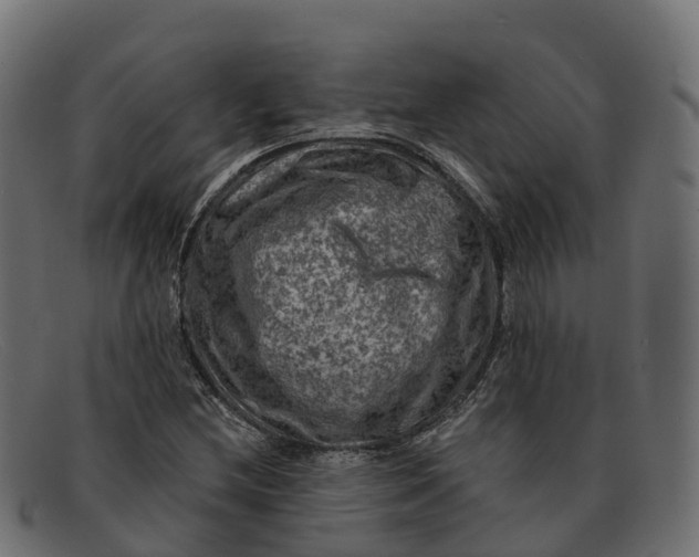 X0000091691212200709131600