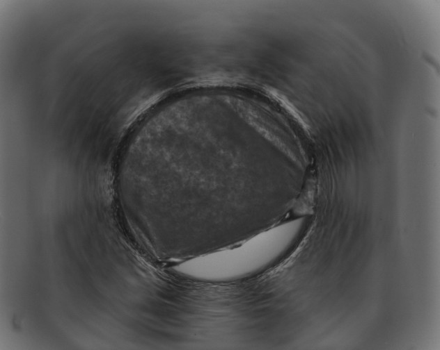 X0000091691213200709131600