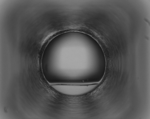 X0000091691214200709131600