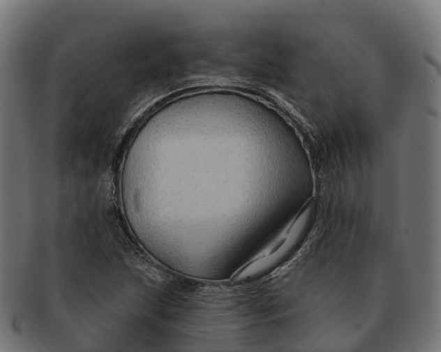 X0000091691215200709131600