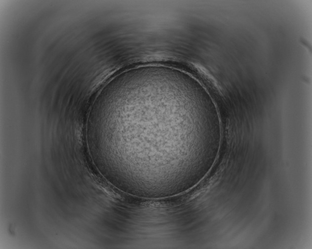 X0000091691217200709131600