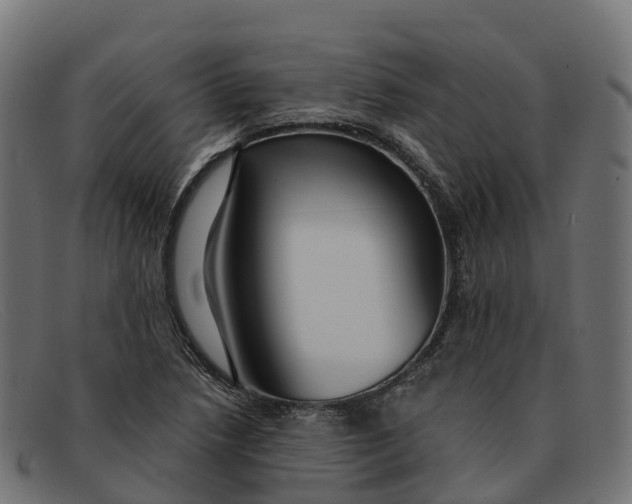 X0000091691218200709131600