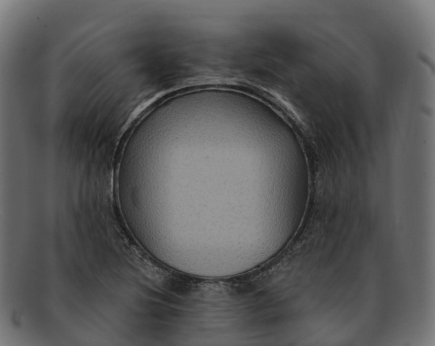 X0000091691220200709131600