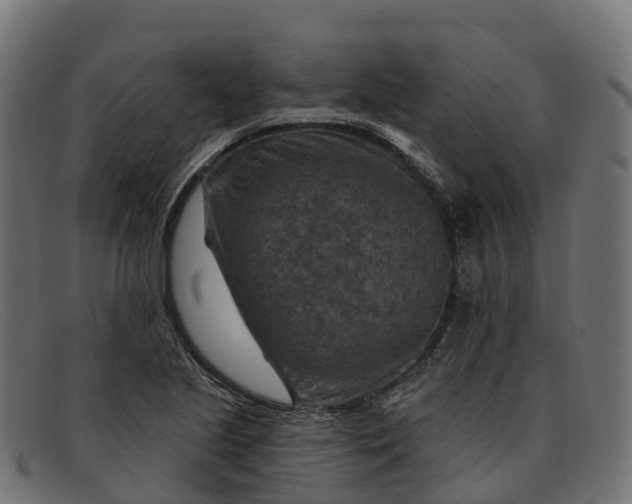 X0000091691221200709131600