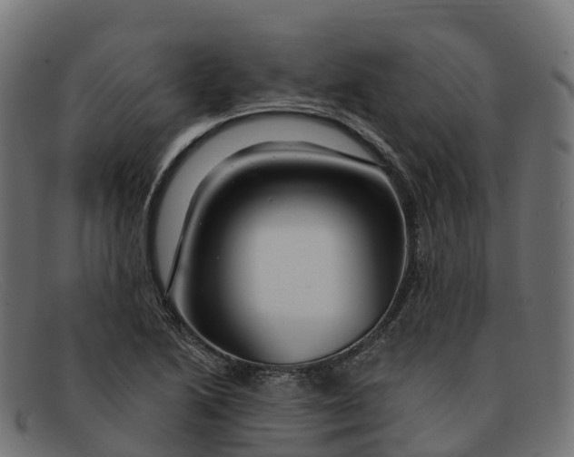 X0000091691222200709131600