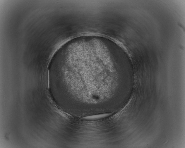 X0000091691223200709131600