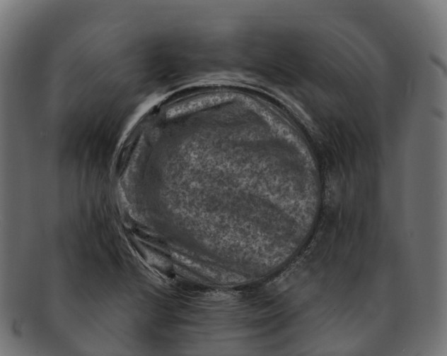 X0000091691224200709131600