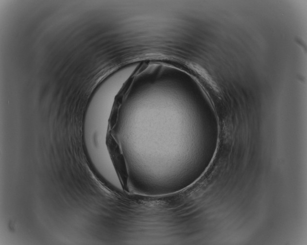 X0000091691225200709131600