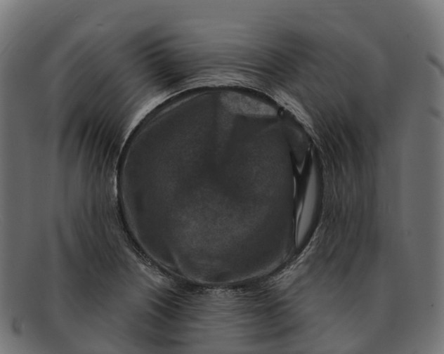 X0000091691226200709131600