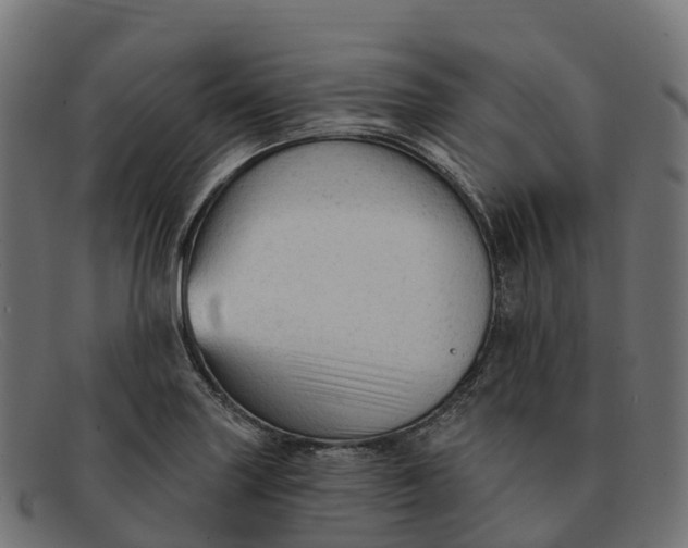 X0000091691227200709131600