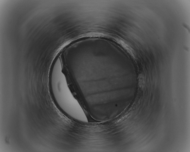 X0000091691229200709131600