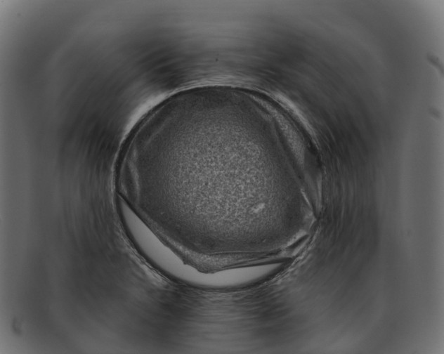 X0000091691230200709131600