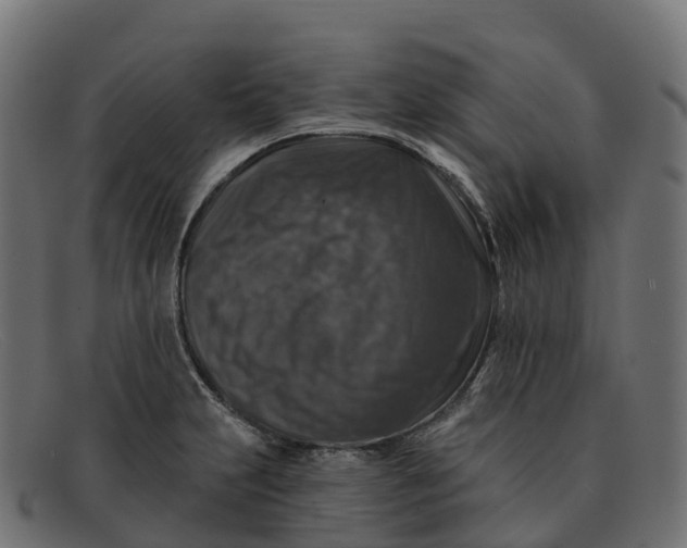 X0000091691231200709131600