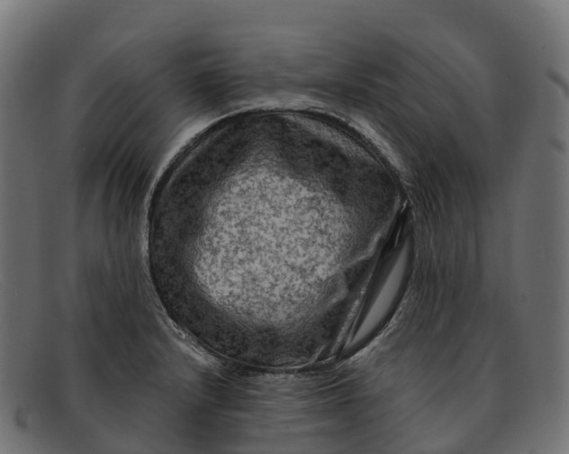 X0000091691232200709131600