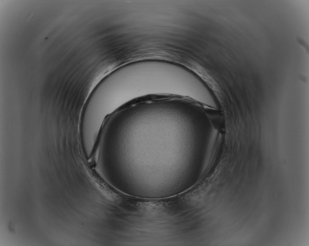 X0000091691234200709131600