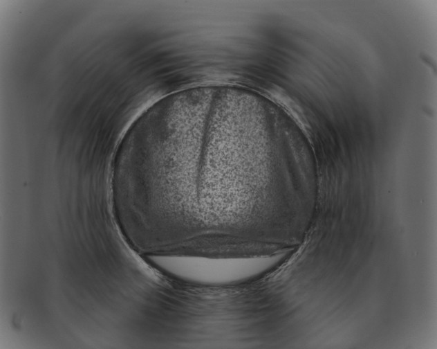 X0000091691235200709131600