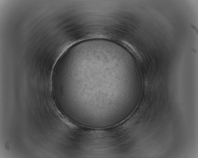 X0000091691236200709131601