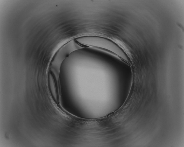 X0000091691238200709131601