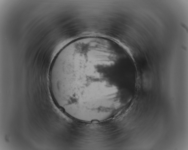 X0000091691239200709131601