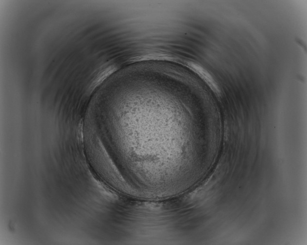 X0000091691241200709131601