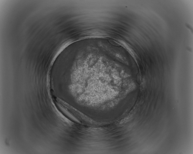 X0000091691243200709131601