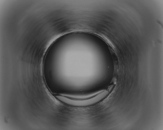 X0000091691246200709131601