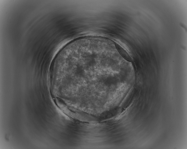 X0000091691247200709131601