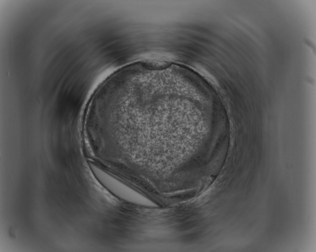 X0000091691248200709131601