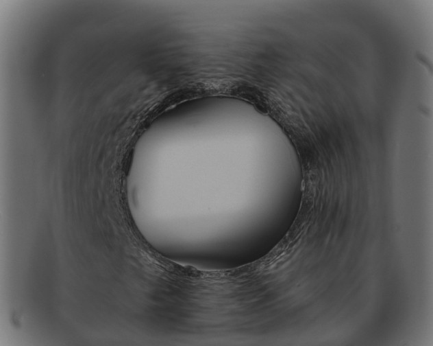 X0000091691249200709131600