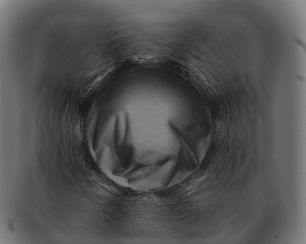 X0000091691250200709131600