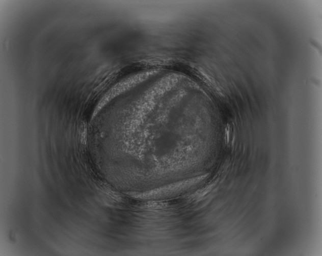 X0000091691251200709131600