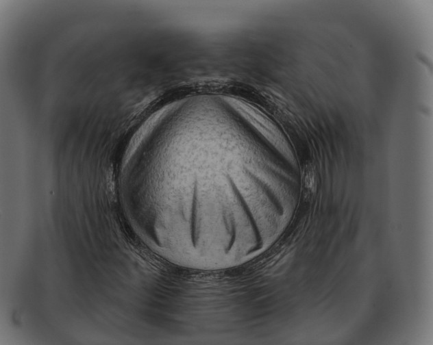 X0000091691252200709131600