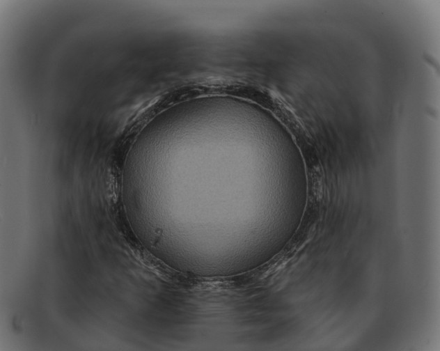 X0000091691253200709131600