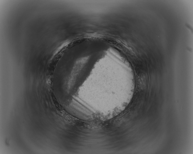 X0000091691254200709131600