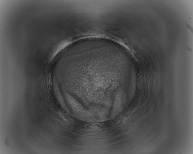 X0000091691255200709131600