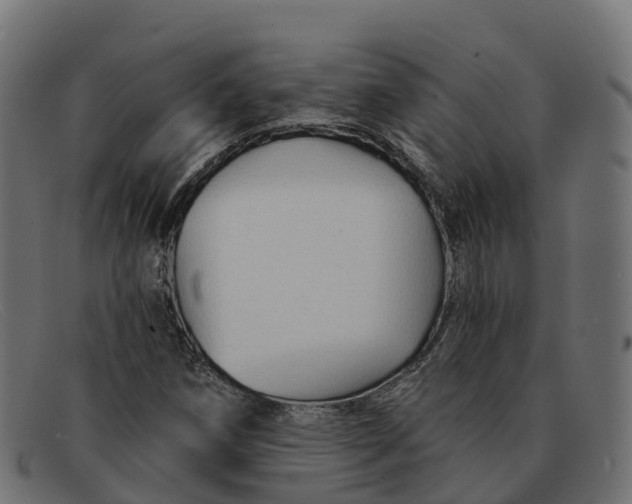 X0000091691258200709131600