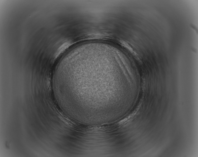 X0000091691259200709131600