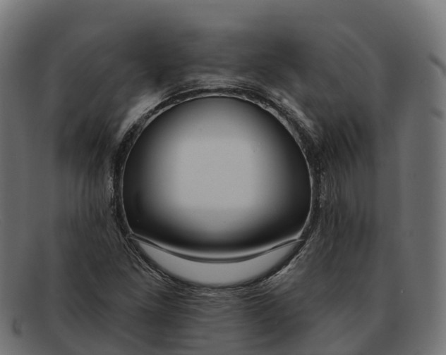 X0000091691261200709131600