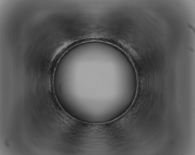 X0000091691262200709131600