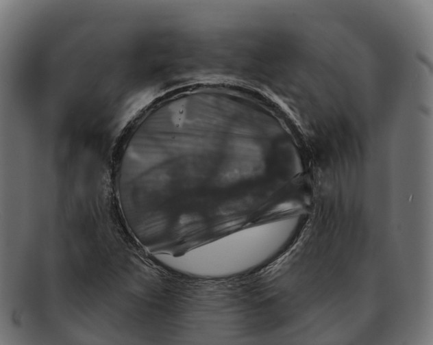 X0000091691263200709131600