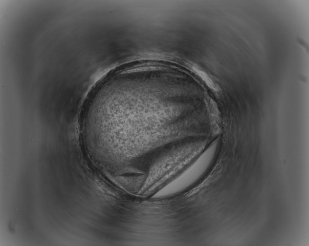 X0000091691264200709131600