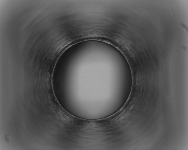 X0000091691265200709131600