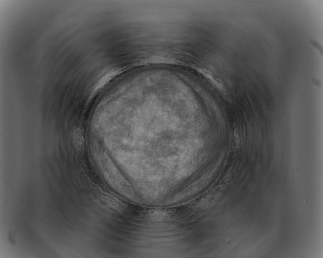 X0000091691266200709131600