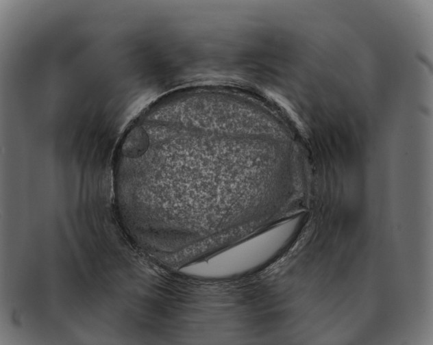 X0000091691267200709131600