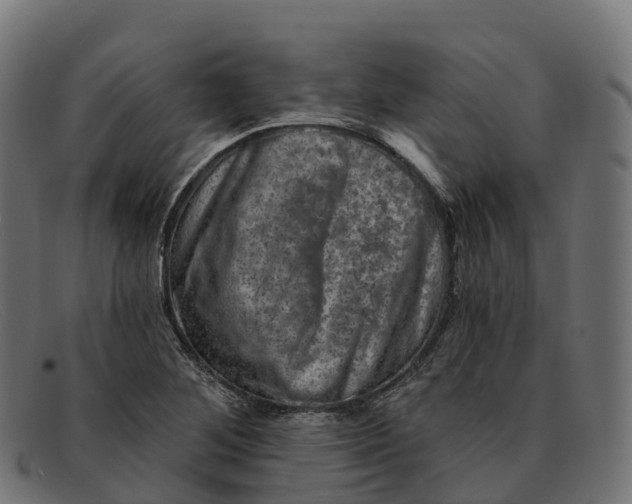 X0000091691268200709131600