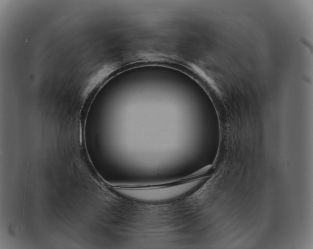 X0000091691269200709131600